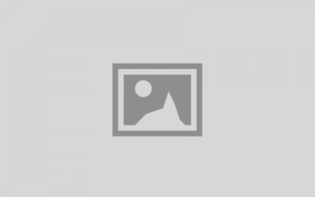 Test Site News Feed